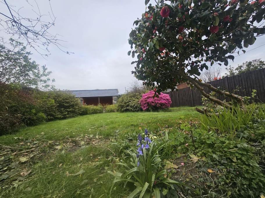 Cosy Cottage In Snowdonia Brynkir Exterior photo